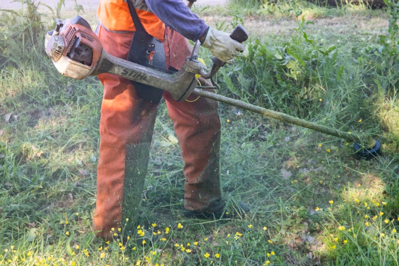 Recco avvia la campagna di sfalcio del verde per luglio