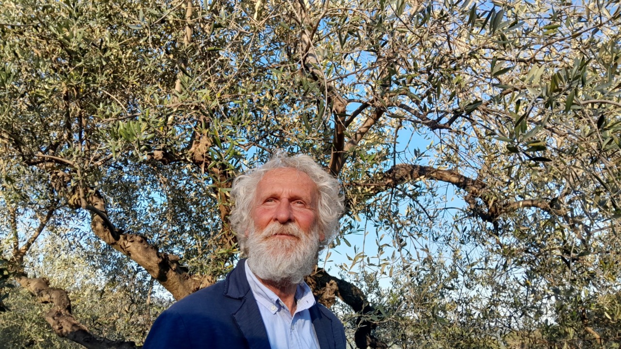 Sabato 25 luglio a Camogli: “La Terra degli Ulivi” di Pino Petruzzelli
