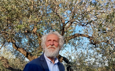 Sabato 25 luglio a Camogli: “La Terra degli Ulivi” di Pino Petruzzelli
