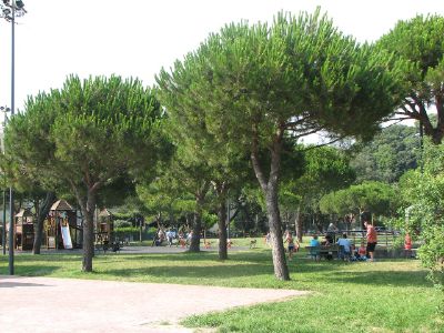 Lezioni gratuite di Tai Chi, Qi Gong e Yoga al Parco Tigullio di Lavagna