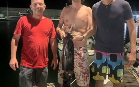 Un totano da 7,5 kg catturato a Sestri Levante